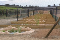 Lloc: Centre de Reproducció de Tortugues de l'Albera