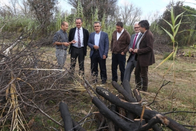 La zona va estar afectada per l'incendi del novembre de 2013