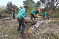 La zona va estar afectada per l'incendi del novembre de 2013